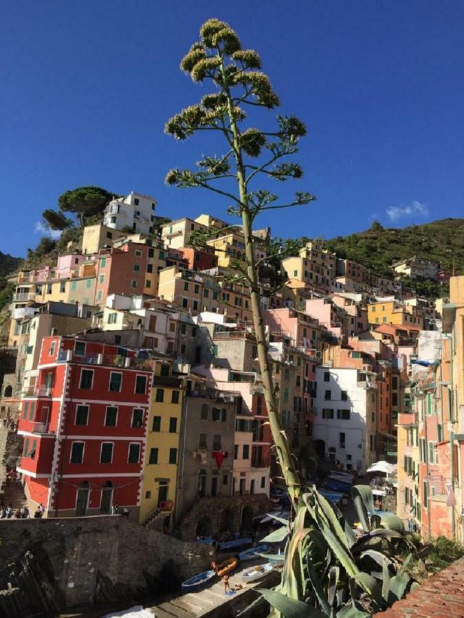 Sergeant First Class Riomaggiore Exterior photo
